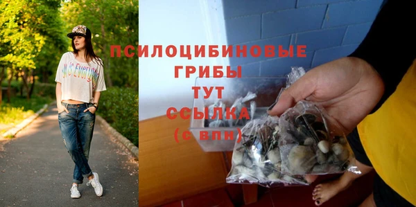 крисы Михайловка